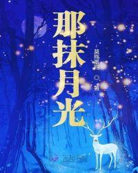 那月光和你txt