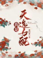 女主叫司徒晓