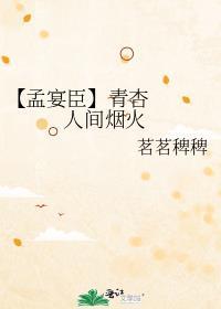 人间烟火我的孟宴臣