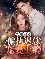 先婚后爱总裁宠妻上瘾