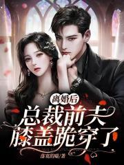 离婚后总裁前夫膝盖跪碎