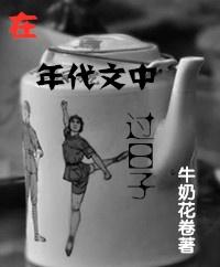 在年代文中过日子txt
