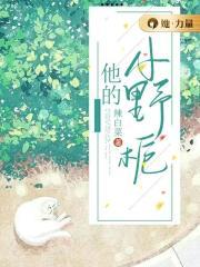 他的小野栀全文免费阅读