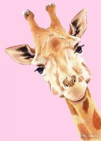 特别丧想死的句子