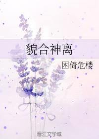 貌合神离芝士面包百度