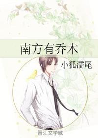 南方有乔木电视剧全集免费