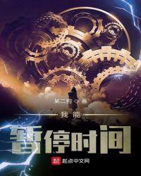 我能暂停时间呢