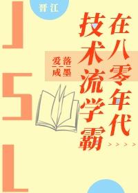 技术流学霸在八零年代txt资源