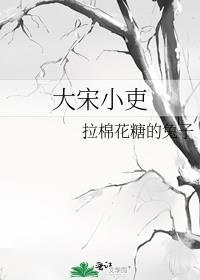 大宋小吏全文免费阅读笔趣阁