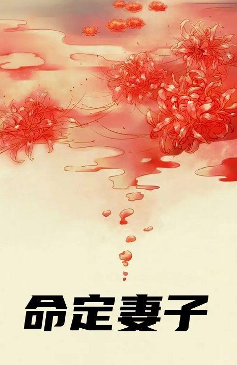 王一博命定妻子