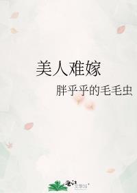 美人难嫁完整版免费阅读