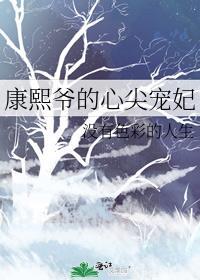 清穿成康熙心尖宠