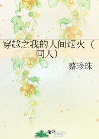 我的人间烟火穿越