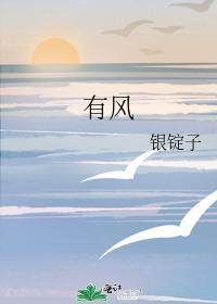 有风小院电视剧