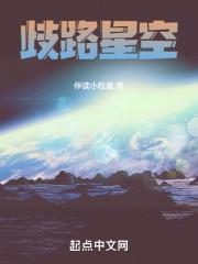 歧路星空断更