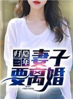 主角叫岳峰林佳人的