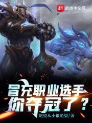 dota2冒充职业选手