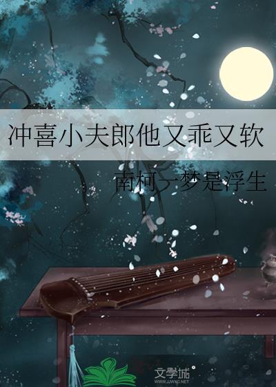 冲喜小夫郎他又乖又软南柯一梦是浮生百度
