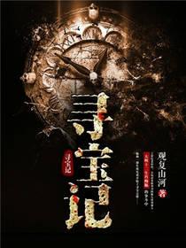 寻宝记全套34册电子版