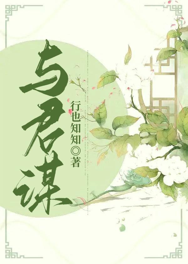 与君谋原著叫什么名字