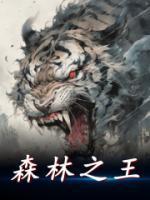 武陵区张恩简历