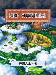 海贼开局降临空岛
