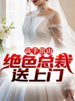 高手下山绝色总裁送上门
