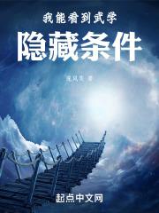 我能看到武学隐藏条件TXT