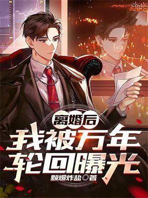 离婚后我成了年代万人迷