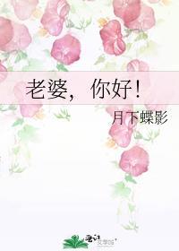 老婆你好月下蝶影全文阅读