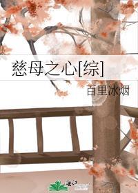 慈母之心无防盗
