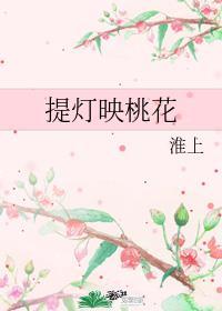 提灯映桃花颜兰玉