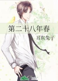 第二十八年春于好杀姑父是第几章