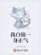 我白锦一身正气txt