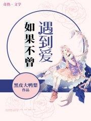 如果不曾遇见的句子