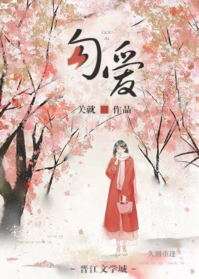 夺爱晋江文学城