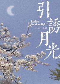 引诱月光的番外免费阅读