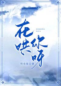 在哄你呀竹小星全文阅读