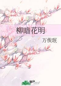柳暗花明又一村打一地名