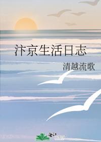 汴京生活日志无错版