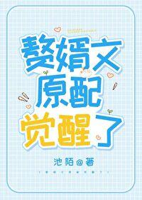 作精在赘婿文爆红了txt