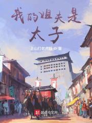 我的姐夫是太子主角老婆叫什么