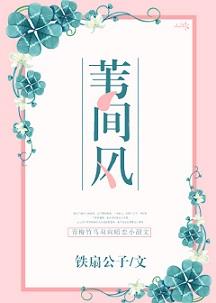 苇间风全文免费阅读无弹窗