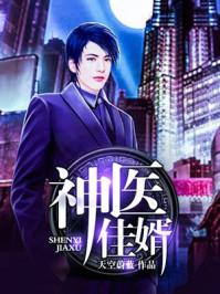 神医佳婿短剧热播