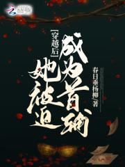 穿越后被迫成为王妃