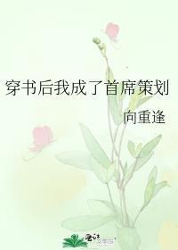 穿书后我成了首席策划格格党