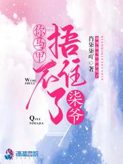 柒爷你马甲捂不住了在线阅读