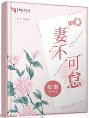 什么之妻不可负