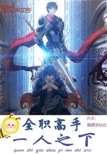 全职高手之一网打尽
