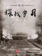 我的谍战岁月猪头七